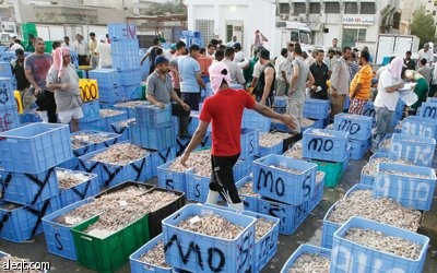 مهنة صيد السمك.. تندثر