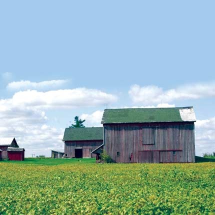 الزراعة المكثفة في أوروبا تخفف تأثير آبار الكربون