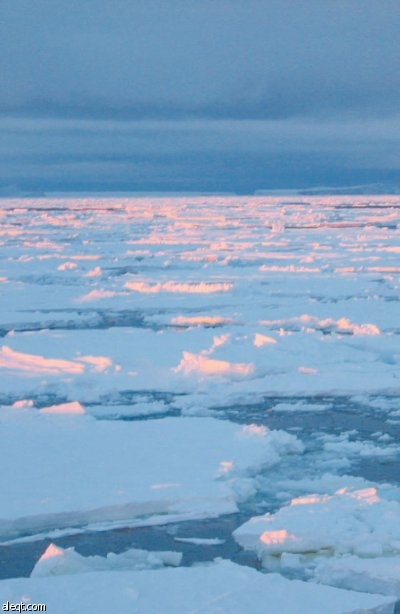 مئات من جبال الجليد الضخمة تتجه نحو نيوزيلاند في حادثة غريبة