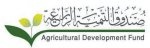 صندوق التنمية الزراعية يشرع في تأسيس شركة لإدارة استثماراته
