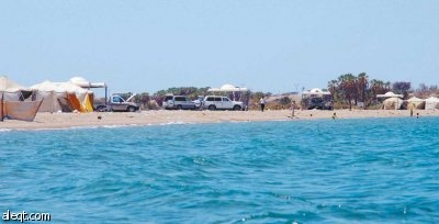 سواحل البحر الأحمر تنتظر النقاهة والعلاج البيئي