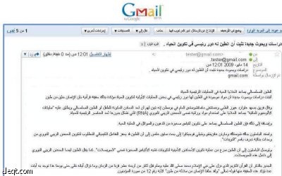 سقطات تكنولوجية ..اختراق « تويتر » وتعديلات « فيس بوك »وتعطيل «جي ميل»