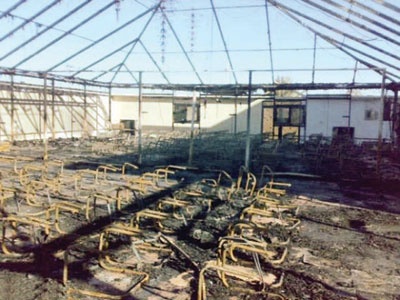 رؤساء أندية خدموا مصالحهم الشخصية وآخرون عملوا على قص أجنحة المبدعين