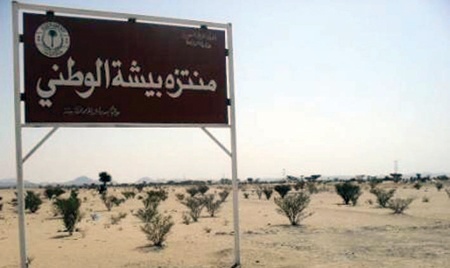 من المدينة إلى بيشة.. المتنزهات البرية مهملة