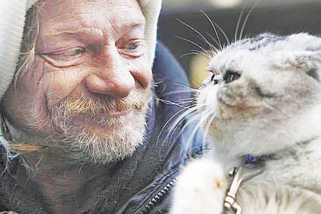 سان فرانسيسكو: متشرد يرصد جائزة لمن يعيد قطته الضائعة