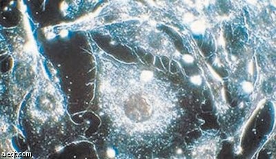 علماء يجدون وسيلة رخيصة وسريعة لاختبار الجينات