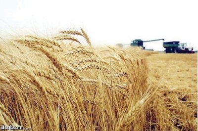 مكائن ومضخات وآبار بـ 11.4 مليار ريال ..فـي مهب الـريـح !