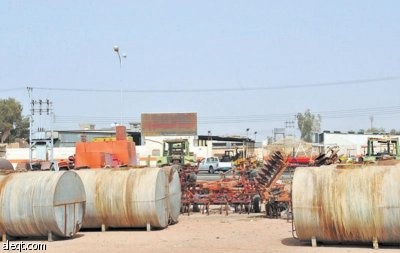 رؤساء اللجان الزراعية: ماذا بعد التوقف عن زراعة القمح ؟