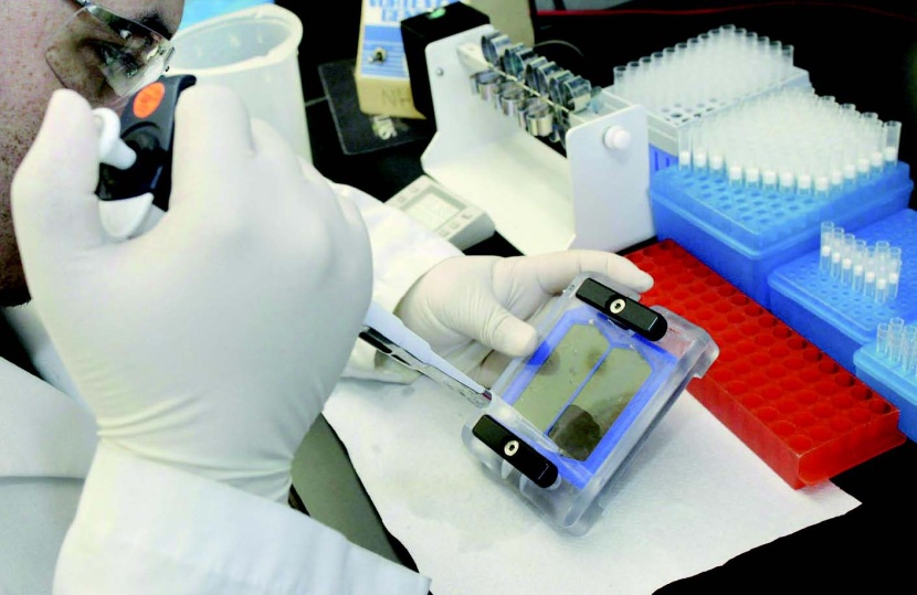 «الجينوم» يضع العالم على شفا «عصر ذهبي» للكشف عن الأمراض وتحديد عقاقيرها