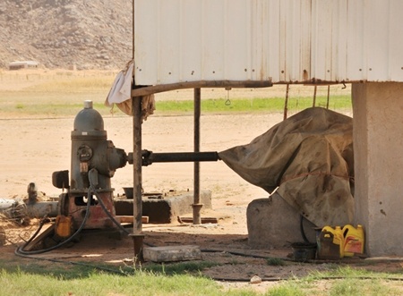 قضية القمح.. تراكم التوصيات