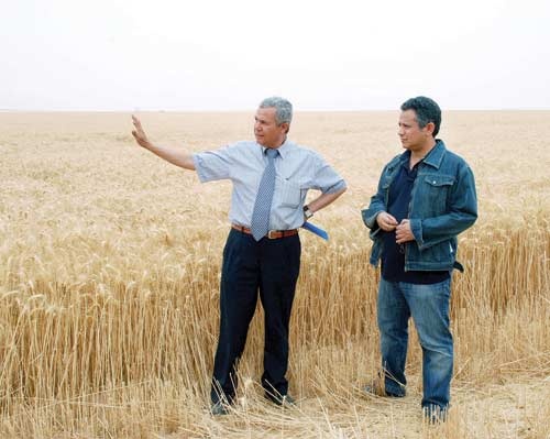 قصة أخرى لنجاح التجربة الزراعية سعودية .. «شرق العوينات»!