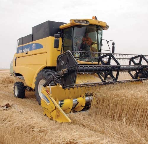 قصة أخرى لنجاح التجربة الزراعية سعودية .. «شرق العوينات»!