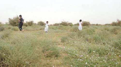 أم العصافير .. السياج يمنحها الحياة