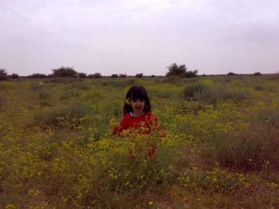 أم العصافير .. السياج يمنحها الحياة