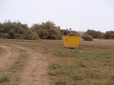 أم العصافير .. السياج يمنحها الحياة