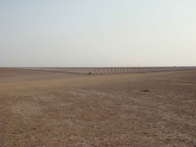 أم العصافير .. السياج يمنحها الحياة