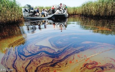 مطالبات لـ «بي بي» بكشف كل معلوماتها بشأن البقعة النفطية
