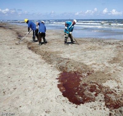 البقعة النفطية تواصل الانتشار في لويزيانا .. و 7 خبراء يتقصون الأسباب