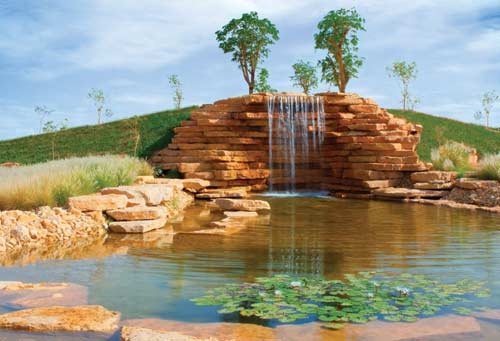 ضاحية درة الرياض تستكمل إنجاز المسطحات الخضراء بغابة من أشجار الزيتون