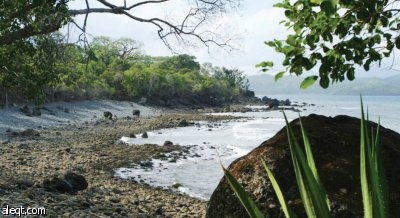 فرنسا تحظر تعدد الزوجات والمحاكم الشرعية في جزر مايوت