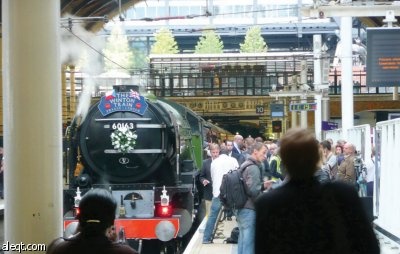 «محطات الحافلات» تشهد انطلاق حملة لتصحيح صورة الإسلام في بريطانيا