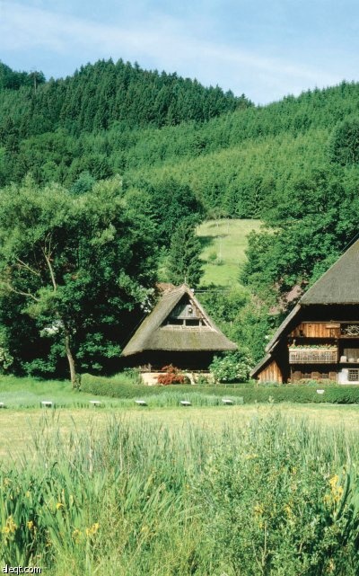 الأمم المتحدة تنشئ منبرا لتسعير «خدمات الطبيعة» وطرح سندات للغابات المطيرة