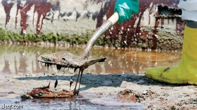 حاكم لويزيانا: 6. 1 مليون برميل من النفط ما زالت في مياه خليج المكسيك