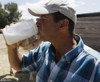 زوجان يروجان لفوائد حليب النوق للشفاء من الأمراض في أمريكا