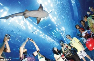 استغلال المقومات السياحية وحسن التخطيط يرفعان عدد السياح السعوديين في دبي