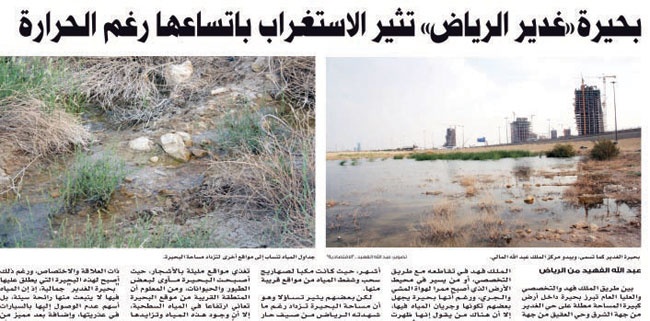 مياه حي الغدير سطحية ولا علاقة لها بالشبكة