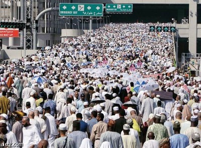 للنقاش: هل تتوقع أن يزيد عدد حجاج هذا العام؟