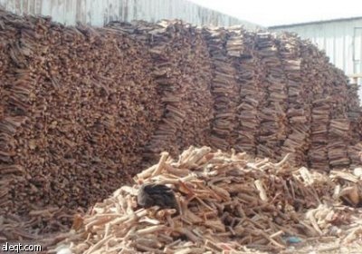 للنقاش : هل تؤيد إستخدام الحطب في التدفئة ؟