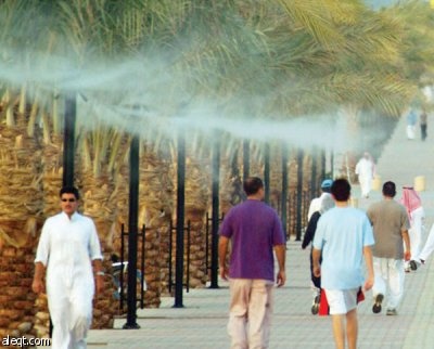 للنقاش: نصف ساعة تكفيك .. هل تمارس رياضة المشي يوميا؟