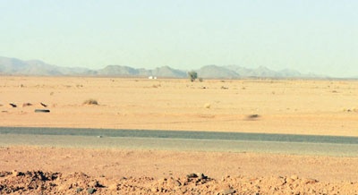 عقاريون: ندرة في المقاولين المحليين وعلى وزارة الإسكان التفكير في الشركات الأجنبية