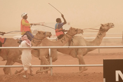 التراث والثقافة في أرض الجنادرية