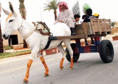 «الجنادرية» تجدد ذكريات الماضي
