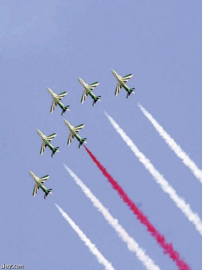 صقور السعودية تواصل عروضها في سماء الجنادرية