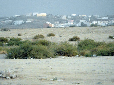 الطائف: تحويل الأراضي السكنية البيضاء إلى حكومية