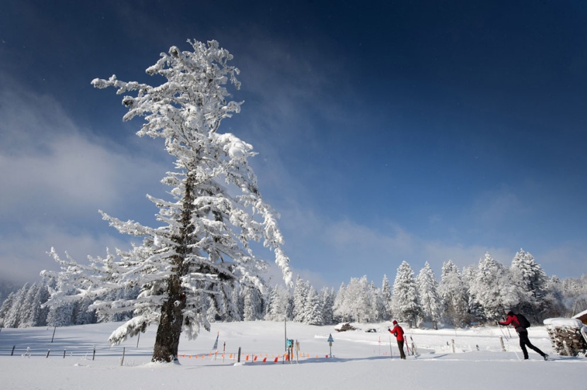 ارتفاع عدد قتلى موجة البرد الشديد في أوروبا إلى 190 (فيديو)