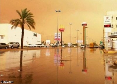 موجة غبار تضرب الرياض.. وقسم الطوارئ يستقبل 81 حالة