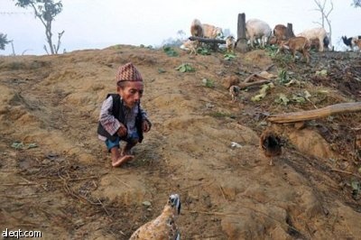 النيبالي شاندرا يفوز بلقب أقصر رجل في العالم  "صور و فيديو"