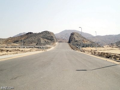 الشراكة الحكومية مع القطاع الخاص في تطوير مخططات المنح كفيلة بحل أزمة الإسكان