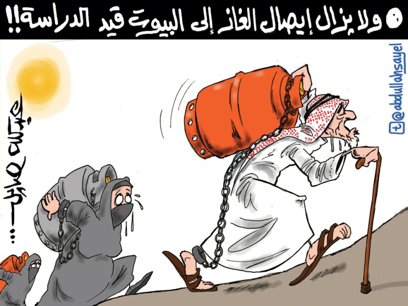 كاريكاتير 2012/6/12