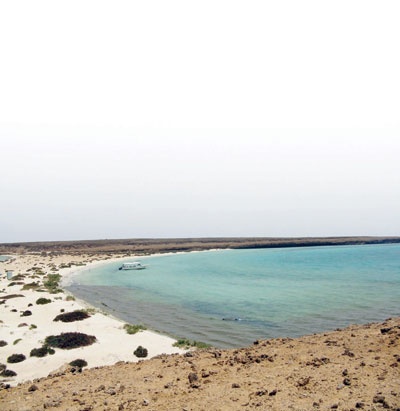 «فرسان».. حساب يعرف بالجزيرة الحالمة