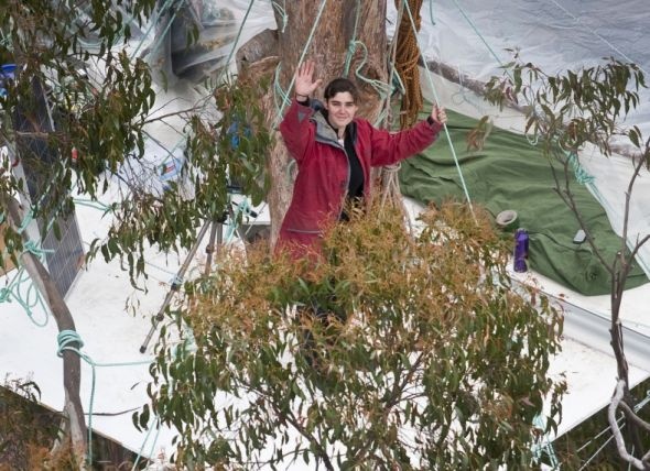 قصة مصورة .. ناشطة أسترالية تقضي 376 يوما فوق شجرة - فيديو