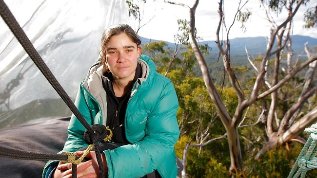قصة مصورة .. ناشطة أسترالية تقضي 376 يوما فوق شجرة - فيديو