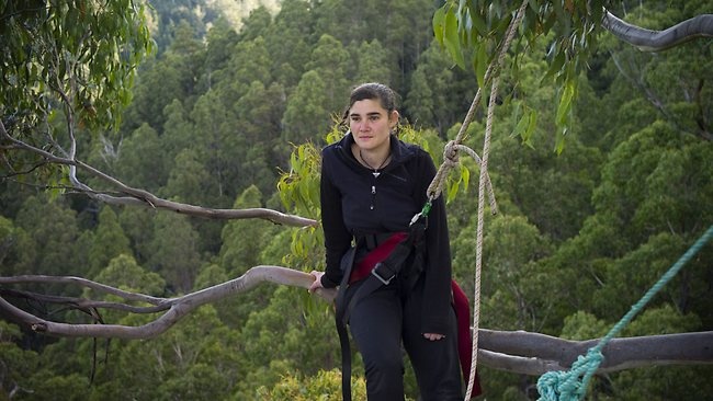قصة مصورة .. ناشطة أسترالية تقضي 376 يوما فوق شجرة - فيديو