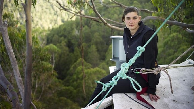 قصة مصورة .. ناشطة أسترالية تقضي 376 يوما فوق شجرة - فيديو
