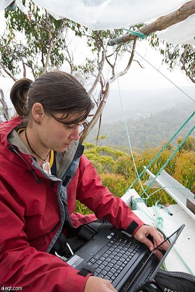 قصة مصورة .. ناشطة أسترالية تقضي 376 يوما فوق شجرة - فيديو