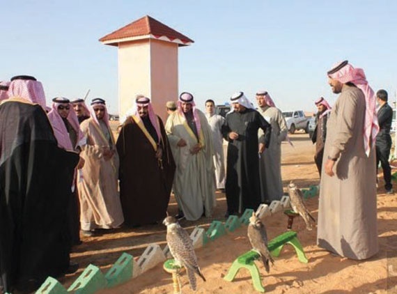 بنك الرياض يرعى مهرجان طريف للصقور 1434هـ